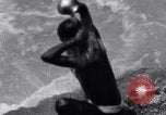 Image of Hindu pilgrims bathe while on journey to Ganges river source India, 1939, second 25 stock footage video 65675028617