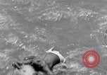 Image of Hindu pilgrims bathe while on journey to Ganges river source India, 1939, second 55 stock footage video 65675028617