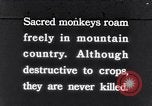 Image of Sacred wildlife encountered by Hindu pilgrims in journey India, 1939, second 1 stock footage video 65675028619