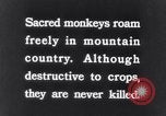 Image of Sacred wildlife encountered by Hindu pilgrims in journey India, 1939, second 3 stock footage video 65675028619
