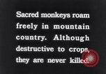Image of Sacred wildlife encountered by Hindu pilgrims in journey India, 1939, second 4 stock footage video 65675028619