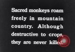 Image of Sacred wildlife encountered by Hindu pilgrims in journey India, 1939, second 6 stock footage video 65675028619