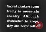 Image of Sacred wildlife encountered by Hindu pilgrims in journey India, 1939, second 8 stock footage video 65675028619