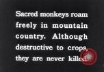 Image of Sacred wildlife encountered by Hindu pilgrims in journey India, 1939, second 13 stock footage video 65675028619