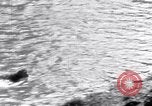 Image of Sacred wildlife encountered by Hindu pilgrims in journey India, 1939, second 19 stock footage video 65675028619