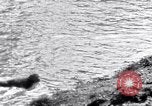 Image of Sacred wildlife encountered by Hindu pilgrims in journey India, 1939, second 20 stock footage video 65675028619