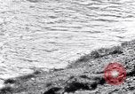 Image of Sacred wildlife encountered by Hindu pilgrims in journey India, 1939, second 21 stock footage video 65675028619