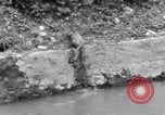 Image of Sacred wildlife encountered by Hindu pilgrims in journey India, 1939, second 22 stock footage video 65675028619