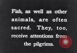 Image of Sacred wildlife encountered by Hindu pilgrims in journey India, 1939, second 28 stock footage video 65675028619