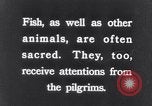Image of Sacred wildlife encountered by Hindu pilgrims in journey India, 1939, second 30 stock footage video 65675028619