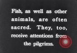 Image of Sacred wildlife encountered by Hindu pilgrims in journey India, 1939, second 31 stock footage video 65675028619