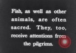 Image of Sacred wildlife encountered by Hindu pilgrims in journey India, 1939, second 34 stock footage video 65675028619