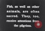 Image of Sacred wildlife encountered by Hindu pilgrims in journey India, 1939, second 35 stock footage video 65675028619