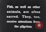 Image of Sacred wildlife encountered by Hindu pilgrims in journey India, 1939, second 36 stock footage video 65675028619