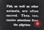 Image of Sacred wildlife encountered by Hindu pilgrims in journey India, 1939, second 38 stock footage video 65675028619