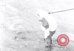 Image of Sacred wildlife encountered by Hindu pilgrims in journey India, 1939, second 40 stock footage video 65675028619