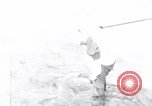 Image of Sacred wildlife encountered by Hindu pilgrims in journey India, 1939, second 41 stock footage video 65675028619