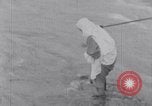 Image of Sacred wildlife encountered by Hindu pilgrims in journey India, 1939, second 42 stock footage video 65675028619