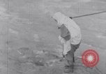 Image of Sacred wildlife encountered by Hindu pilgrims in journey India, 1939, second 44 stock footage video 65675028619