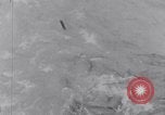 Image of Sacred wildlife encountered by Hindu pilgrims in journey India, 1939, second 46 stock footage video 65675028619