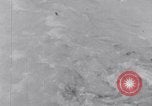 Image of Sacred wildlife encountered by Hindu pilgrims in journey India, 1939, second 47 stock footage video 65675028619