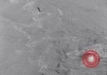 Image of Sacred wildlife encountered by Hindu pilgrims in journey India, 1939, second 48 stock footage video 65675028619