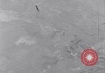 Image of Sacred wildlife encountered by Hindu pilgrims in journey India, 1939, second 49 stock footage video 65675028619