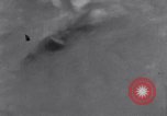 Image of Sacred wildlife encountered by Hindu pilgrims in journey India, 1939, second 54 stock footage video 65675028619