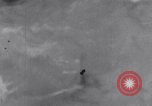 Image of Sacred wildlife encountered by Hindu pilgrims in journey India, 1939, second 55 stock footage video 65675028619