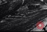 Image of logging operation in America early 1900s United States USA, 1910, second 14 stock footage video 65675028624