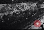 Image of logging operation in America early 1900s United States USA, 1910, second 15 stock footage video 65675028624