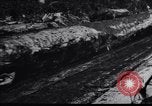 Image of logging operation in America early 1900s United States USA, 1910, second 20 stock footage video 65675028624
