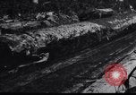Image of logging operation in America early 1900s United States USA, 1910, second 21 stock footage video 65675028624