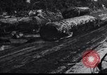 Image of logging operation in America early 1900s United States USA, 1910, second 23 stock footage video 65675028624