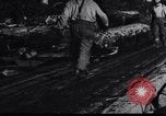 Image of logging operation in America early 1900s United States USA, 1910, second 25 stock footage video 65675028624