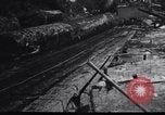 Image of logging operation in America early 1900s United States USA, 1910, second 29 stock footage video 65675028624