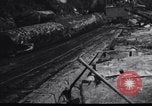 Image of logging operation in America early 1900s United States USA, 1910, second 30 stock footage video 65675028624