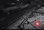 Image of logging operation in America early 1900s United States USA, 1910, second 31 stock footage video 65675028624