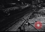 Image of logging operation in America early 1900s United States USA, 1910, second 36 stock footage video 65675028624