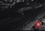 Image of logging operation in America early 1900s United States USA, 1910, second 41 stock footage video 65675028624