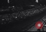 Image of logging operation in America early 1900s United States USA, 1910, second 43 stock footage video 65675028624