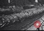 Image of logging operation in America early 1900s United States USA, 1910, second 45 stock footage video 65675028624