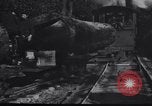 Image of logging operation in America early 1900s United States USA, 1910, second 47 stock footage video 65675028624