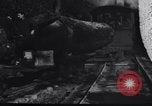 Image of logging operation in America early 1900s United States USA, 1910, second 48 stock footage video 65675028624