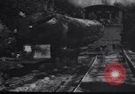 Image of logging operation in America early 1900s United States USA, 1910, second 50 stock footage video 65675028624