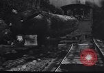 Image of logging operation in America early 1900s United States USA, 1910, second 51 stock footage video 65675028624