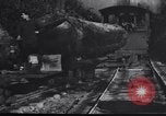 Image of logging operation in America early 1900s United States USA, 1910, second 52 stock footage video 65675028624