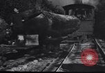 Image of logging operation in America early 1900s United States USA, 1910, second 53 stock footage video 65675028624