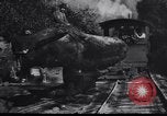 Image of logging operation in America early 1900s United States USA, 1910, second 54 stock footage video 65675028624