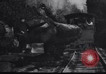 Image of logging operation in America early 1900s United States USA, 1910, second 56 stock footage video 65675028624